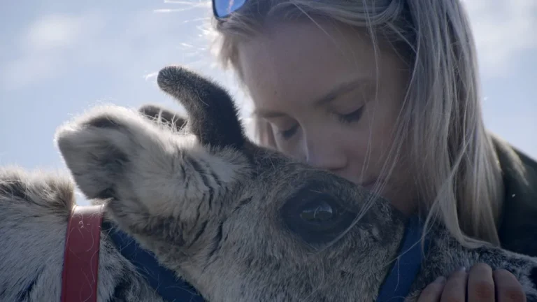 Fira samernas nationaldag med UR Play